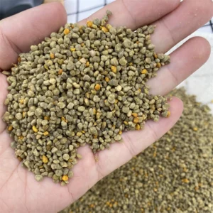 Premium Apricot Flower Bee Pollen