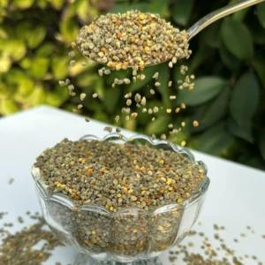 Premium Broad Bean Pollen Bulk Supply