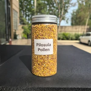 Premium Codonopsis Bee Pollen Bulk