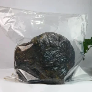 Premium Raw Bee Propolis