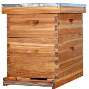 10-Frame Wax-Dipped Langstroth Beehive - Premium Solid Wood 2-Layer Set