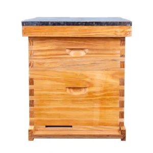 8-Frame Wax-Dipped Langstroth Beehive - Premium Cedar Wood 2-Layer Complete Kit