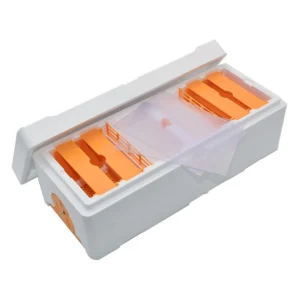 Plastic EPS Double Queen Mating Box - Insulated Dual-Chamber Mini NUC