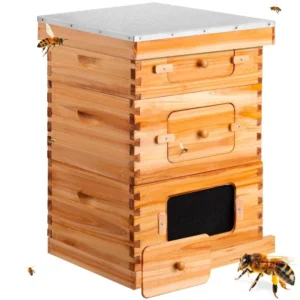 Langstroth Beehive with Observation Window - Premium Solid Wood Educational Hive