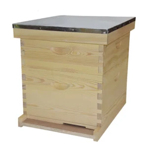 US Standard Dadant Beehive - Premium Solid Wood High-Capacity Hive System