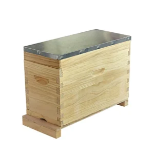 Australian 5-Frame Wooden NUC Box - Premium Solid Wood Nucleus Colony Box