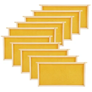 Deep Pine Bee Frame with Yellow Plastic Foundation - High-Yield Honey Production Kit