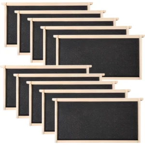 Langstroth Deep Pine Bee Frame with Plastic Foundation - Commercial Grade Kit