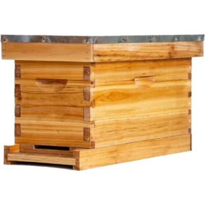 Langstroth 5-Frame Wax-Dipped NUC Box - Premium Weatherproof Wooden Nucleus Hive
