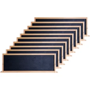 Medium Pine Bee Frame with Black Plastic Foundation - Professional Beekeeping Kit