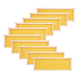 Medium Pine Bee Frame with Yellow Plastic Foundation - High-Yield Honey Super Kit