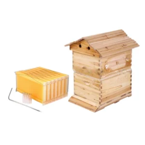 Wax-Dipped Chinese Fir Auto-Flow Beehive - Professional Maintenance-Free Self-Harvesting System